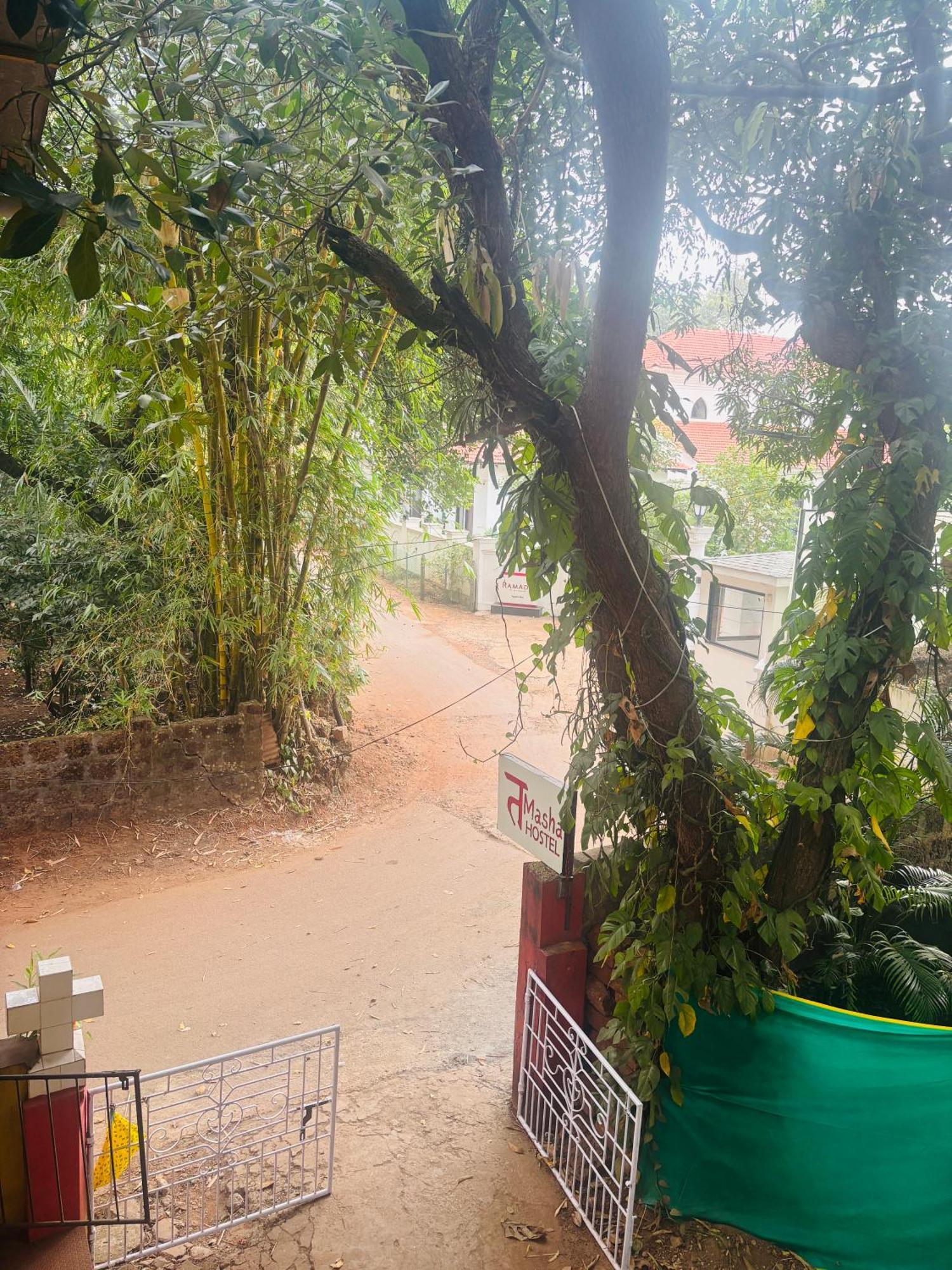 Tamasha Goa Vagator Hostel Bagian luar foto